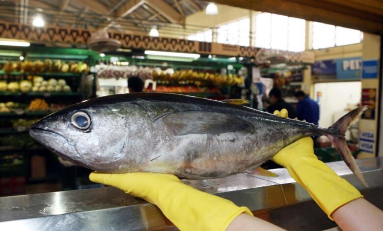 peixe vigilancia sanitaria