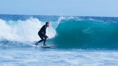 Surf no Inverno Divulgação