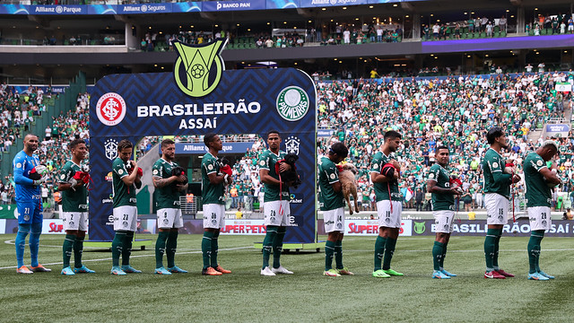 palmeiras jogadores com cães