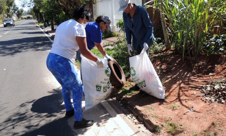 Sesa divulga balanço do Dia D de combate à dengue no Estado -