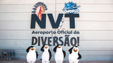 pinguins-madagascar-aeroporto