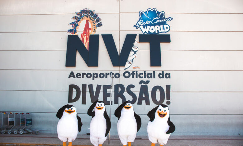 pinguins-madagascar-aeroporto
