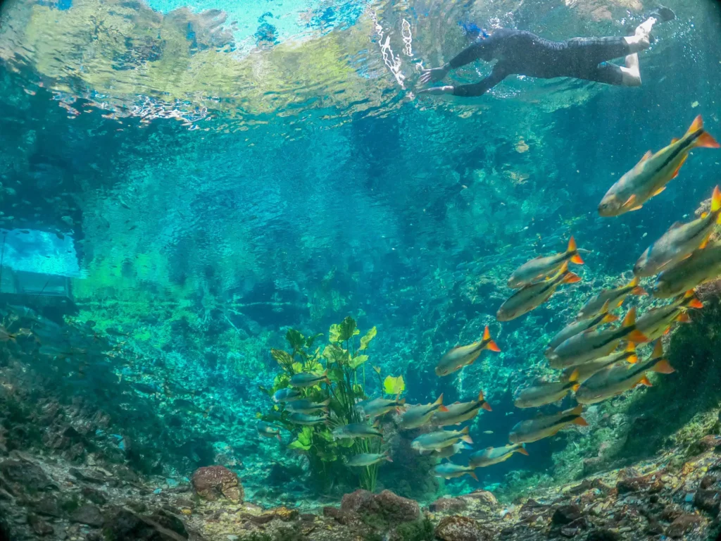 Foto por divulgação Nascente AzulNascente Azul - Balneário