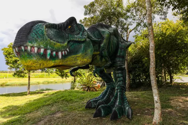 pinhais parque das águas dinossauro