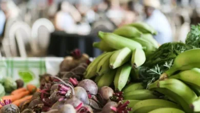 alimentos-merenda