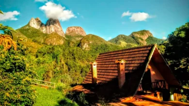 @amoestarbem Gaia de Luz - Nova Friburgo/RJ