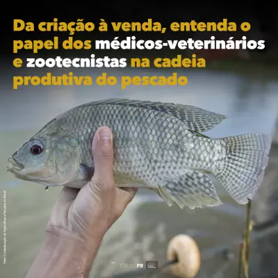 médico veterinário na pesca