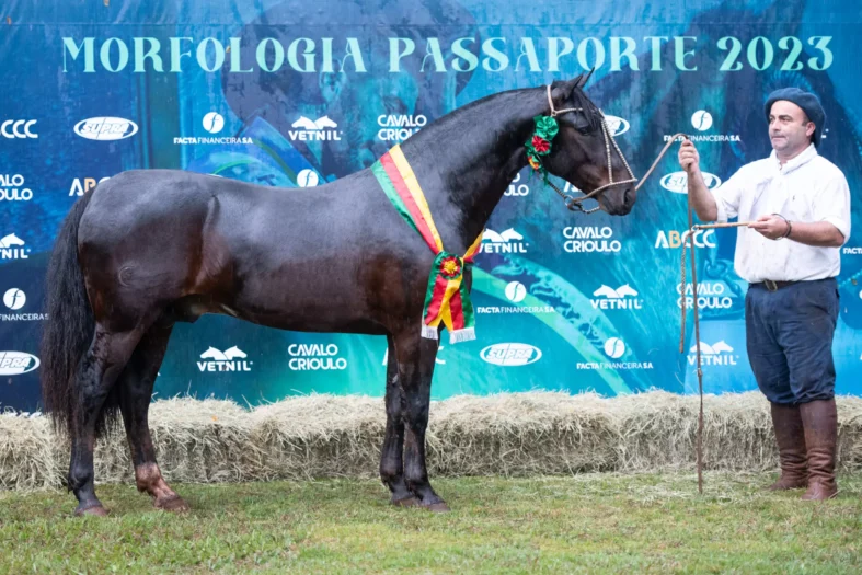Sucesso da Cabanha Santa Fé - Crédito Leandro Vieira Divulgação