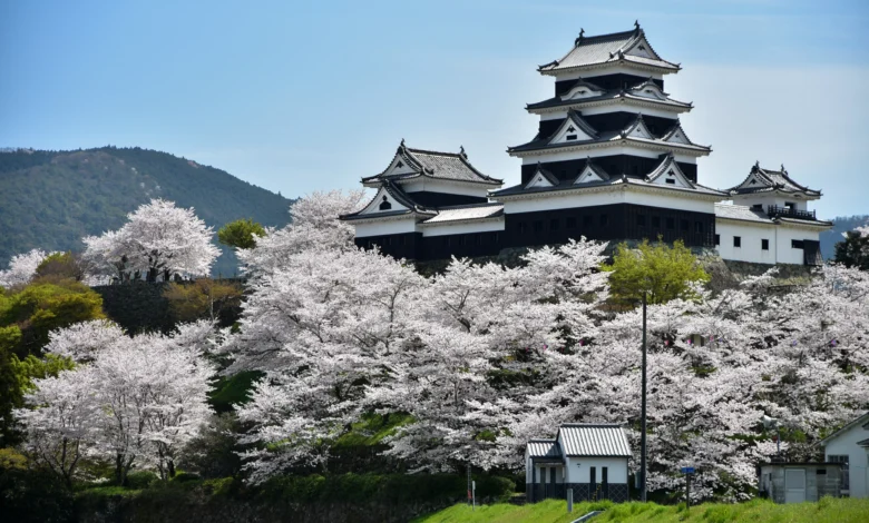 Castelo de Ozu, Província de Ehime Raicho/Shutterstock.com