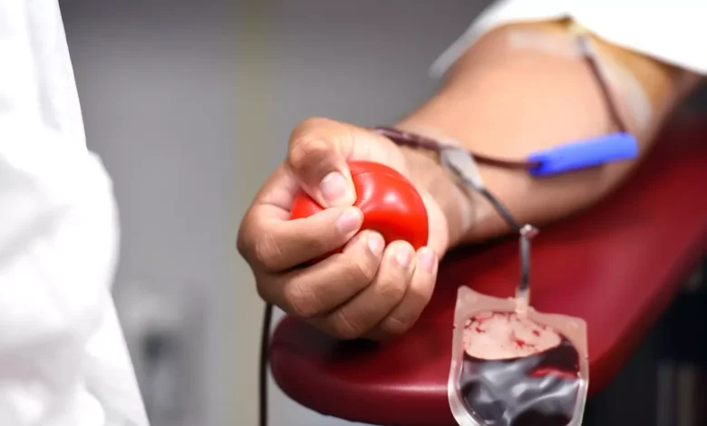 Biomédicos reforçam a importância da doação de sangue; gesto humanitário pode salvar até quatro vidas- Foto Michelle Gordon-Pixabay