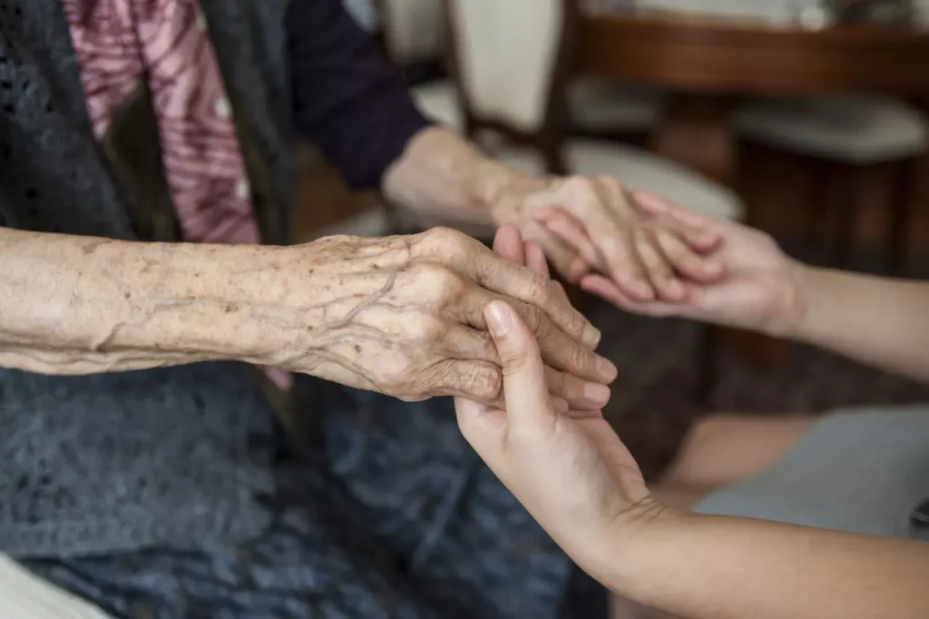 Junho Violeta - Paraná (PR)