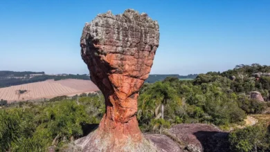 parque_vila_velha_taca