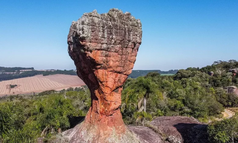 parque_vila_velha_taca