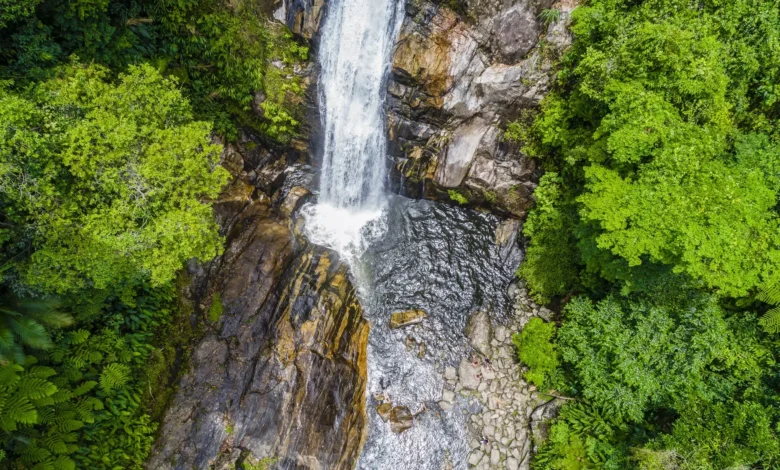 Cachoeira-da-Pedra-Lisa---Boicucanga-Marcos-Bonello