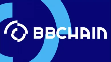  BBChain, startup