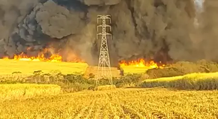 Imagem de incêndio ilegal em Ilha Solteira, SP (Foto: ISA CTEEP)