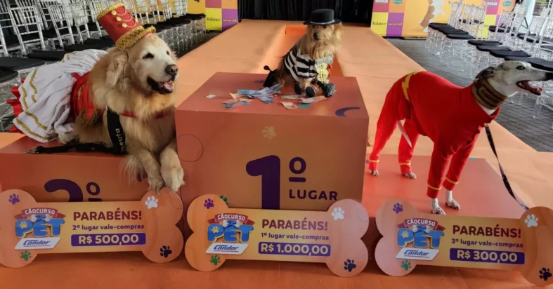 Cãocurso