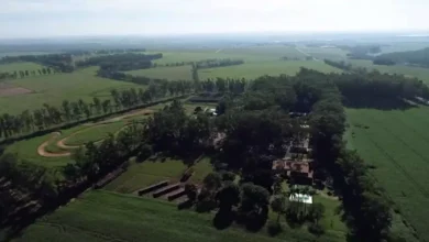 Vista aérea da fazenda Flor Roxa, dos produtores César Vellini e Vitor Vellini, pai e filho.