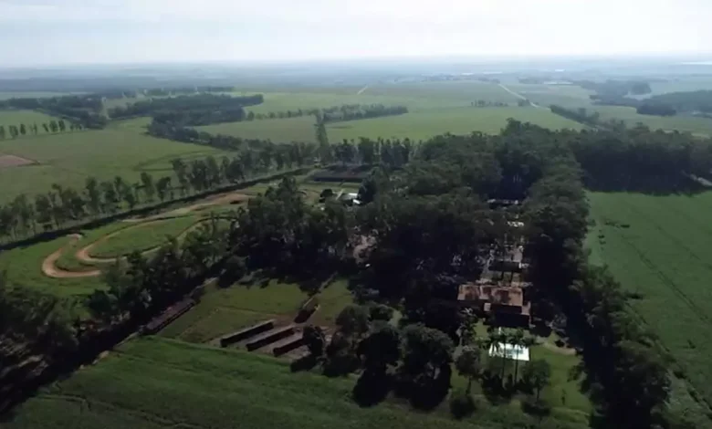 Vista aérea da fazenda Flor Roxa, dos produtores César Vellini e Vitor Vellini, pai e filho.