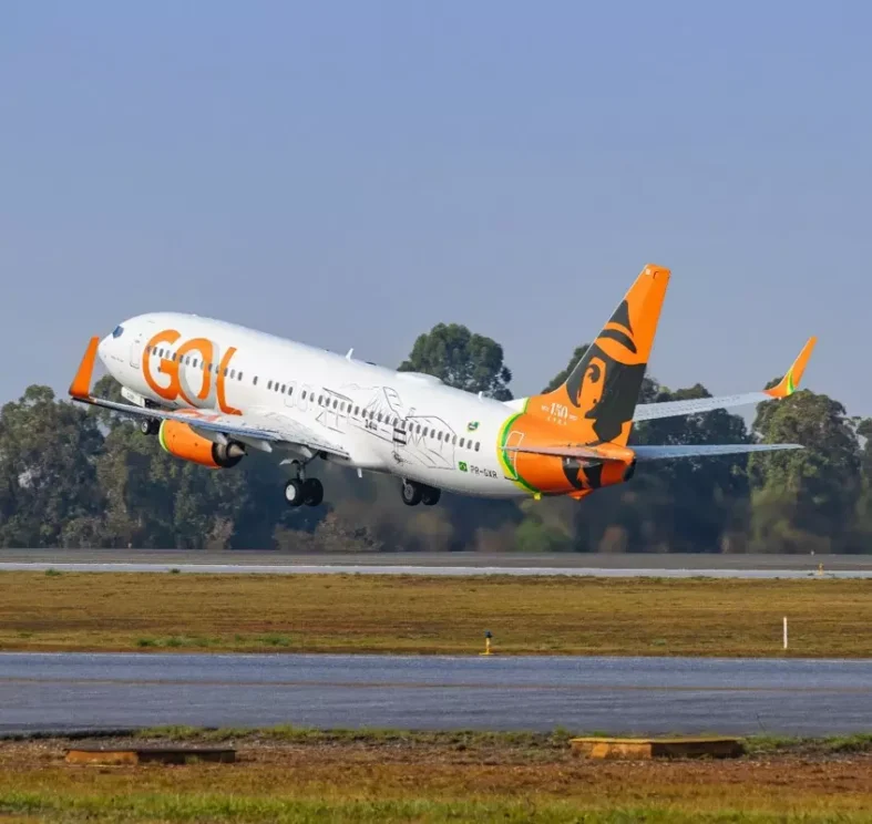 Aeronave da GOL em homenagem aos 150 anos de Santos Dumont(Divulgação GOL/ @alisson.aviation)