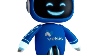 Velsis