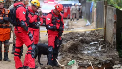 bombeiros busca com cães