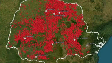 (Crédito - Divulgação): Pontos de detecção de mudança de vegetação em áreas acima de 50 hectares, na safra de inverno 2022