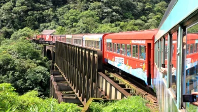 Os micro e pequenos negócios também são beneficiados com o turismo ferroviário (Foto: Divulgação)