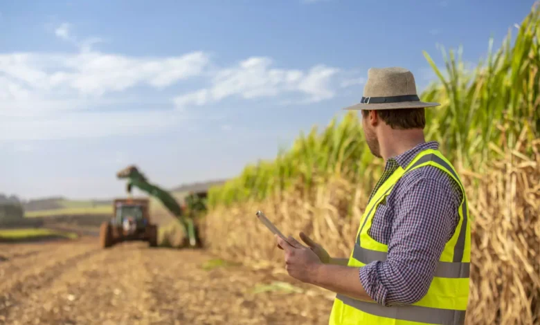 Especialistas de diversas áreas da indústria bioenergética da cana-de-açúcar participaram ativamente da discussão – Créditos: BASF