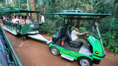 turismo_abertura_de_empresas_ligadas_ao_turismo_no_parana_foi_81_maior_em_2023