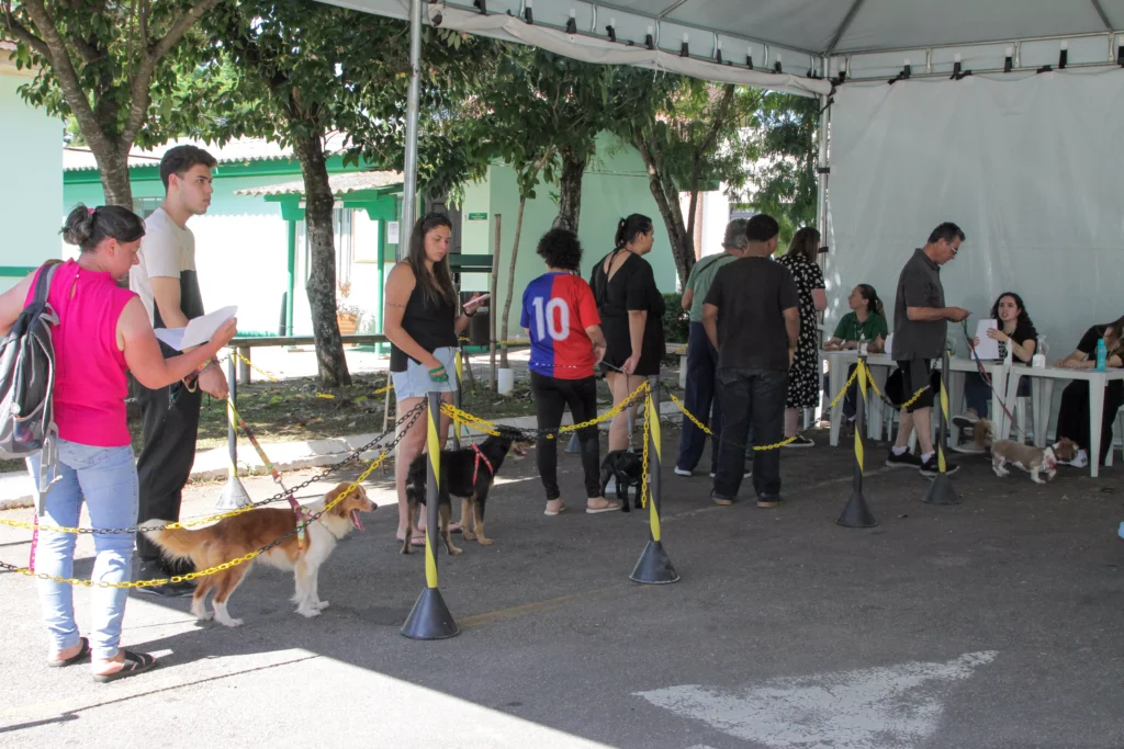 censo-animal-pinhais