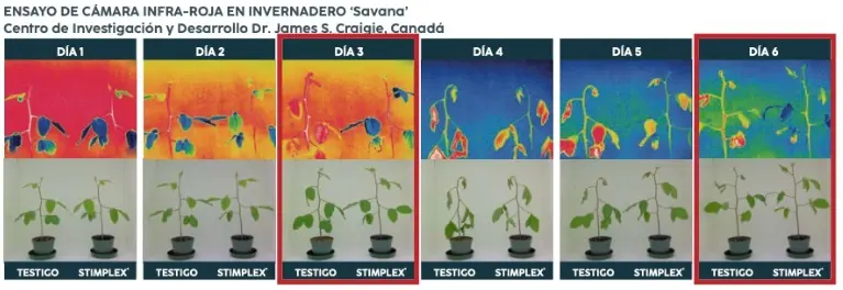 calor-fruta-hortlicas