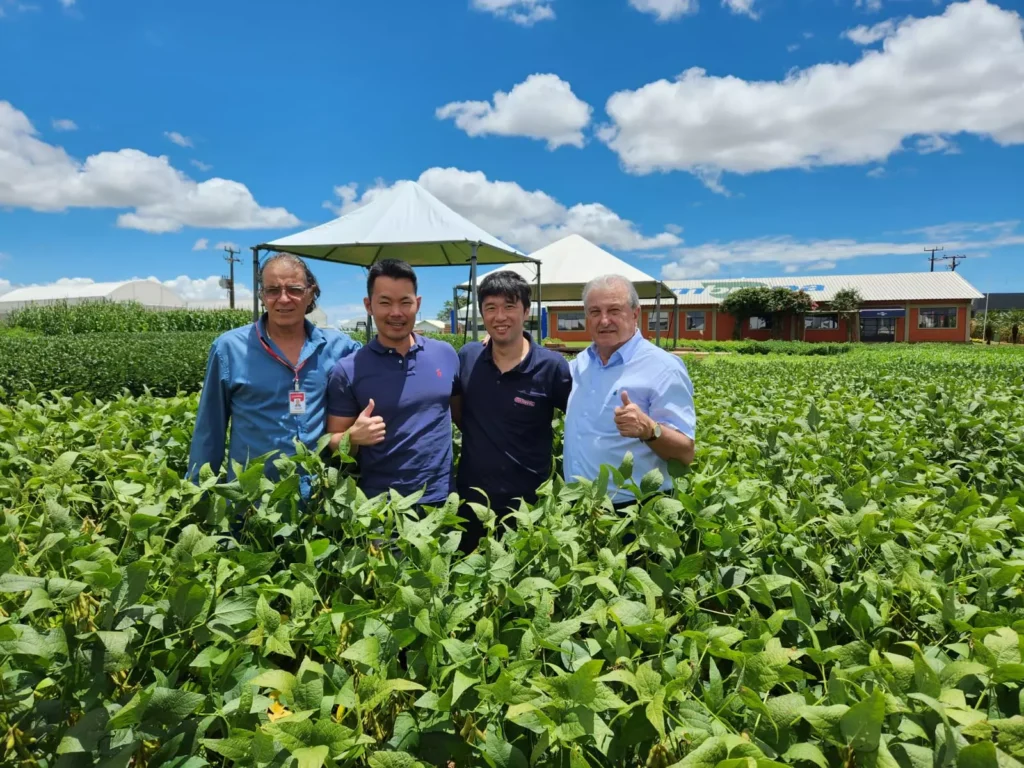 __coopavel japoneses