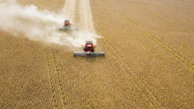 Soluções integradas da BASF são destaques no Show Rural Coopavel (Foto: BASF)