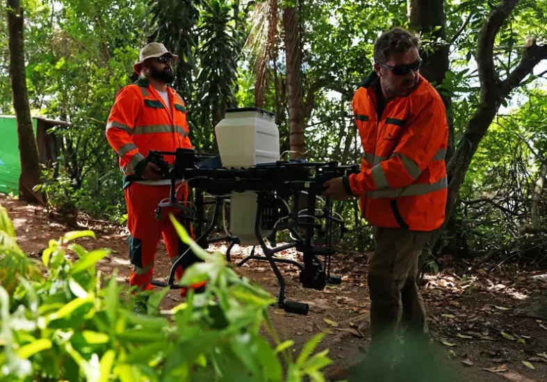 Uma equipe com duas pessoas e um drone pode replantar 100 vezes mais rápido um campo do que se fossem utilizados os métodos tradicionais. Foto: Rodrigo Paiva / Morfo / Divulgação