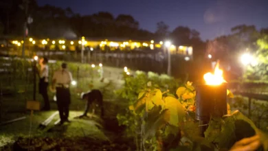 Evento Vinho dos Mortos Divulgação