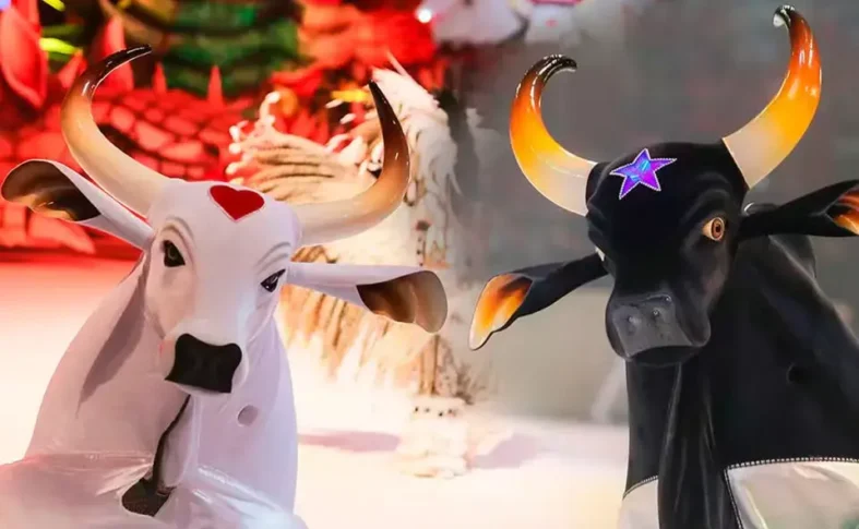 Direto de Parintins, Caprichoso e Garantido fazem a abertura do Festival de Curitiba. Créditos: Divulgação/Governo do Amazonas