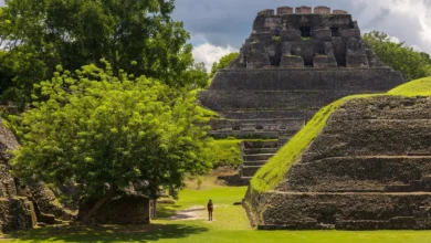 Belize Tourism Board