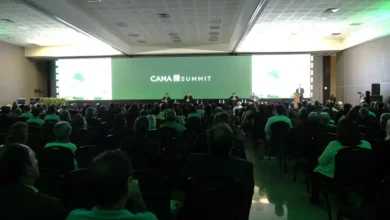 Auditório lotado no Cana Summit em Brasília/DF (Crédito: Divulgação)