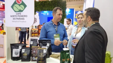 O café do Norte Pioneiro foi o primeiro produto a receber a Indicação Geográfica no Paraná. Crédito: Divulgação Sebrae/PR