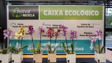 Caixa-ecologica