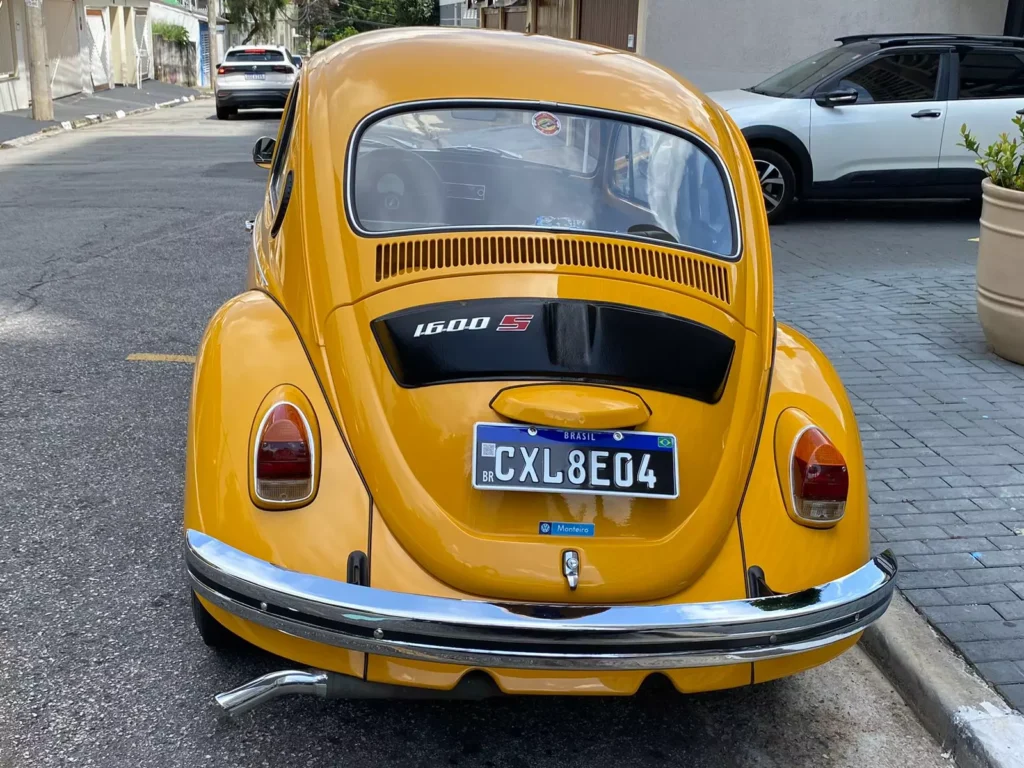 Fusca-Bizorrao