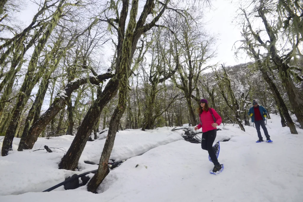 [Nevados-de-Chillan--11-