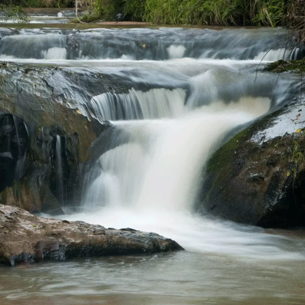 Recursos-Hidricos---Klabin-Reproducao-Facebook