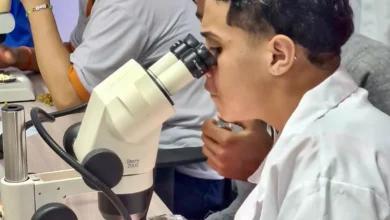 Alunos do Projeto Ilha dos Cientistas no laboratório, 2023. Créditos: Divulgação