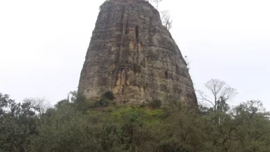 Torre de Pedra