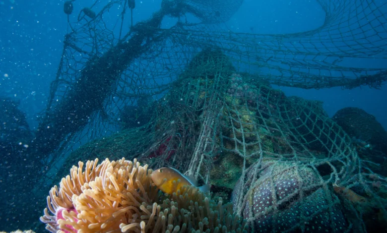 WWF - Ghost fishing net - Indian Ocean, Zanzibar.jpg