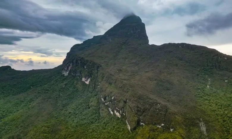 Pico da Neblina