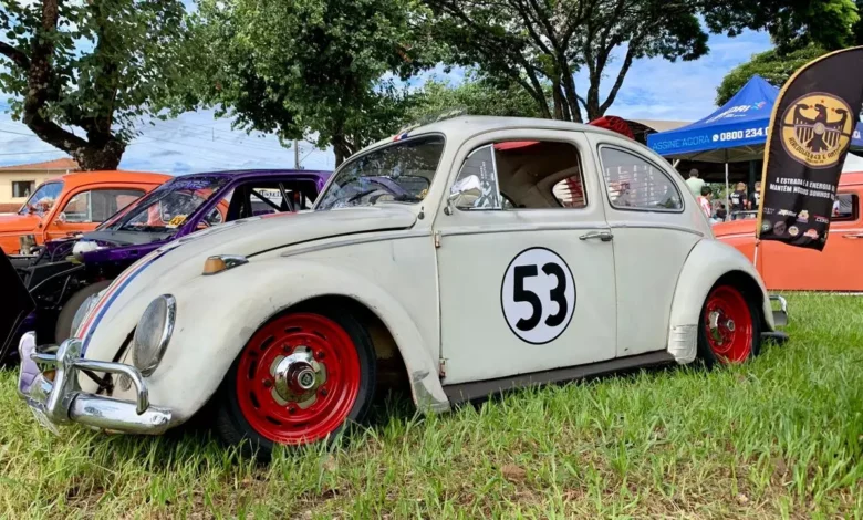 fusca-herbie