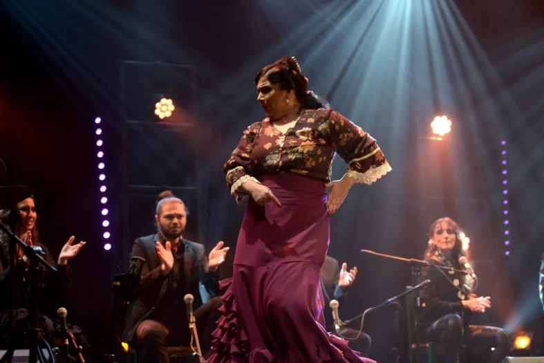 Show Cinco Sentidos - Guitarra Flamenca